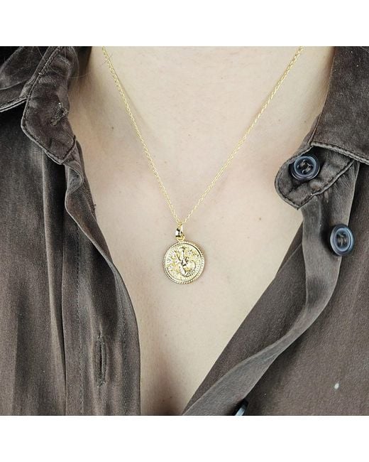 Harfi Metallic Aquarius Plated Zodiac Astrology Pendant Charm Necklace
