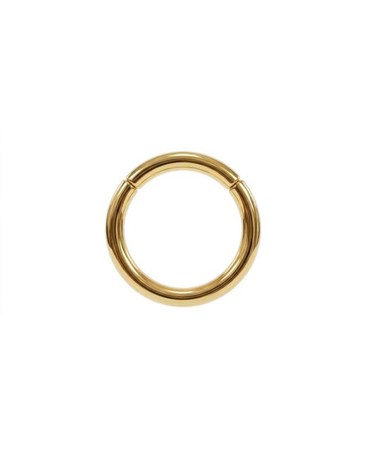 Zahav Jewelry Metallic 14K Solid Captive Segment Clicker Hoop
