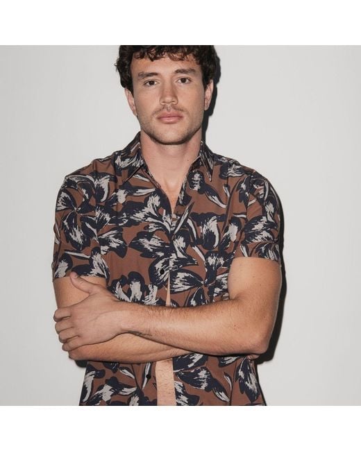 Playaluxe Purple Todos Santos Classic Shirt Tobacco Flower for men