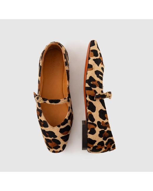 Mariano Shoes Brown Cacia Ballerina Leopard