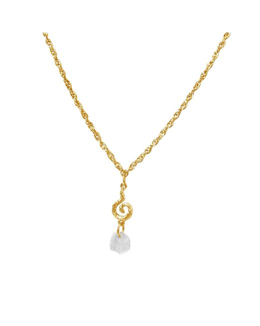 Glassy Metallic Skumspiral Necklace