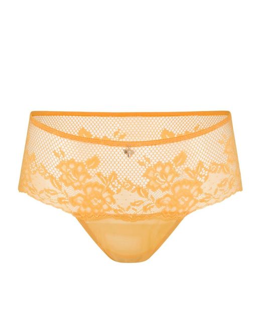 Empress Mimi Yellow Queen Bee Lace Cheeky Panty