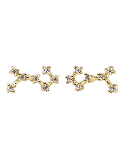 Harfi Metallic Scorpio Star Sign Constellation Astrology Tiny Earrings