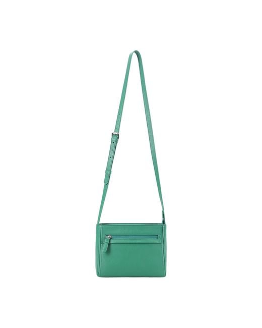 Lloyd Baker Green Primrose