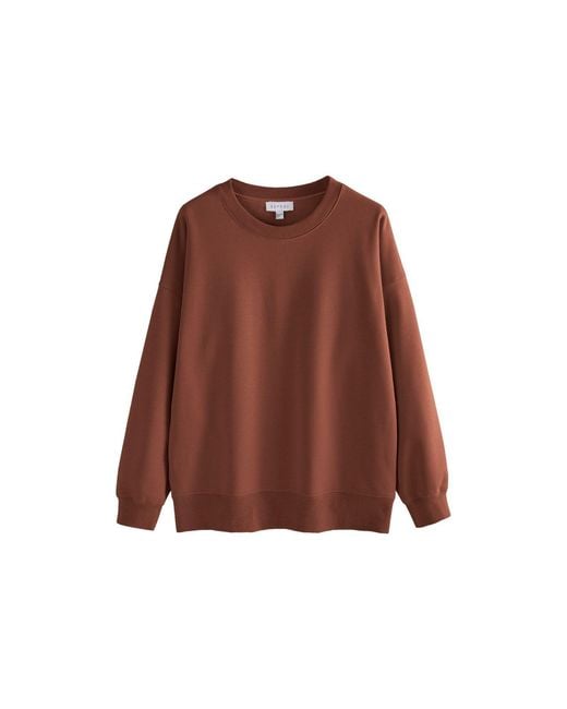 Supesu Brown Cubby Sweater, Oversized