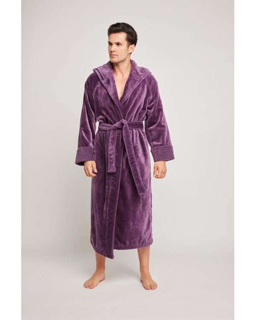 Pasithea Sleep Purple Organic Cotton Hooded Robe In Aubergine for men