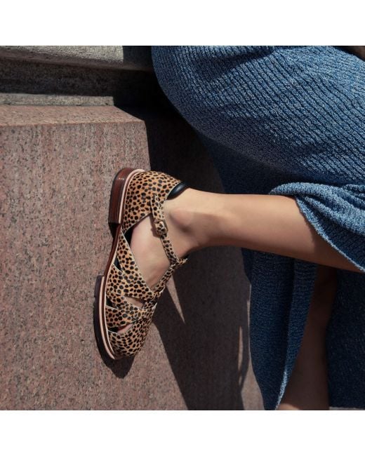 Mafalda Black Maite Animal Print Fisherman Sandals