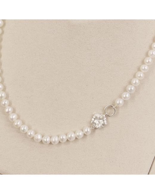 Agora Jewellery Metallic Bavella Pearl Necklace