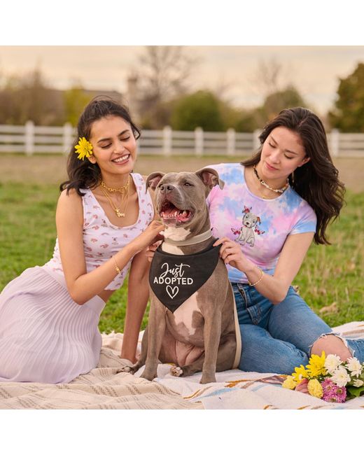 Cloud Haven Blue Pittie Tie Dye Tee