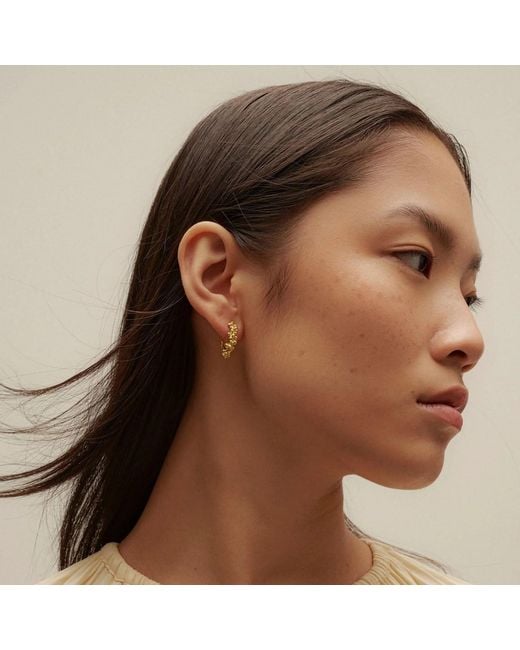 EVA REMENYI Metallic Céleste Deux Small Hoop Earrings
