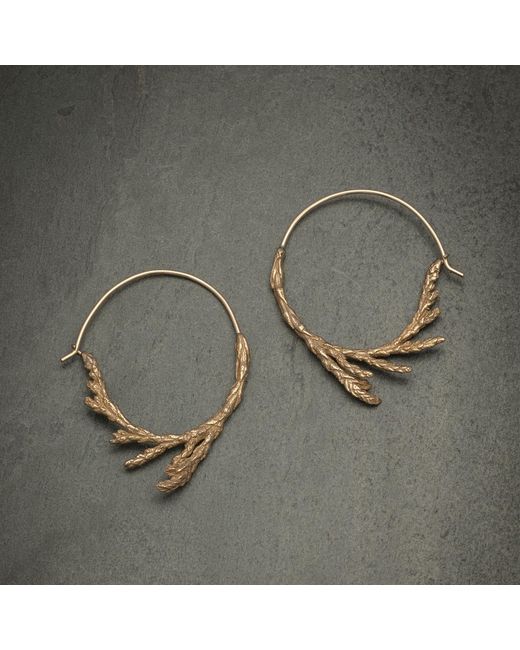 Zula Jewelry + Design Metallic Sacred Cedar Hoop Earrings, Bronze