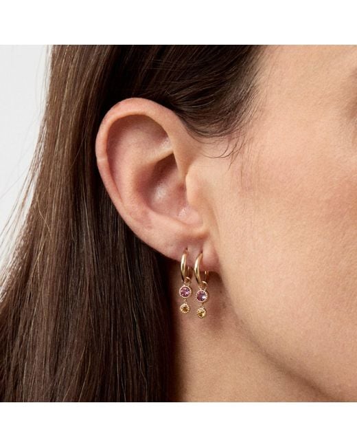 Dinny Hall Metallic Tourmaline & Garnet Duo Drop Hoops