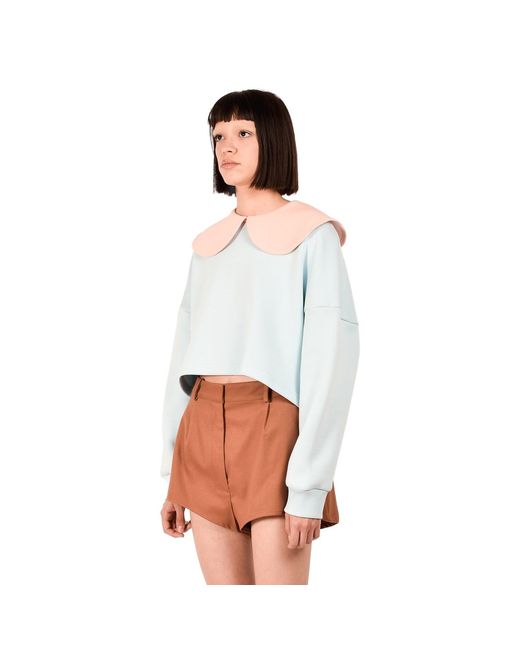 Ioana Ciolacu Blue Baby Orchid Sweatshirt