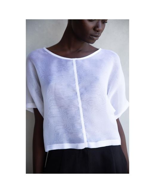 By Noa Rawitz Blue Silk Organza Boat Neckline Dolman Short Sleeves Top