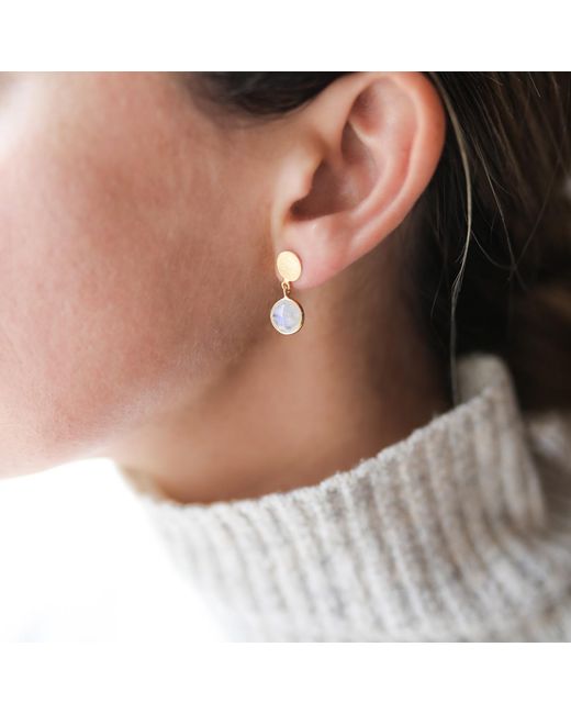 Auree Jewellery Metallic Salina Moonstone & Gold Vermeil Disc Earrings