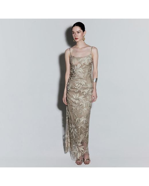 Belsize25 Natural Mayfair Series Floral Embroidered Mesh Maxi Dress