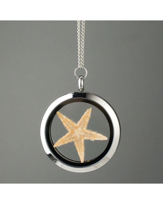My Little Nature Metallic Neutrals Star Necklace With Natural Starfish