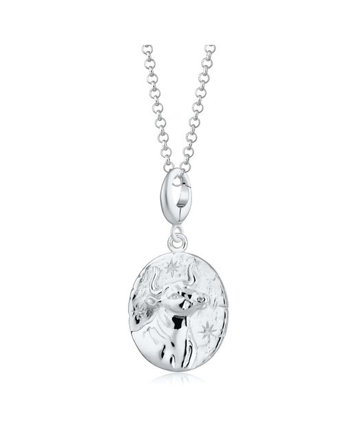 Lily Charmed Metallic Sterling Taurus Zodiac Charm Necklace
