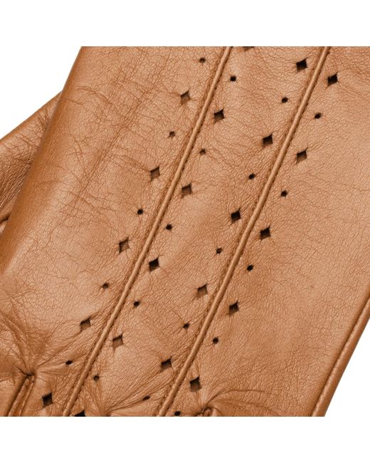 1861 Glove Manufactory Brown Ravello