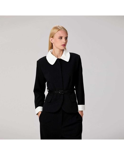 Smart and Joy Black Double Breasted Collar Jacket
