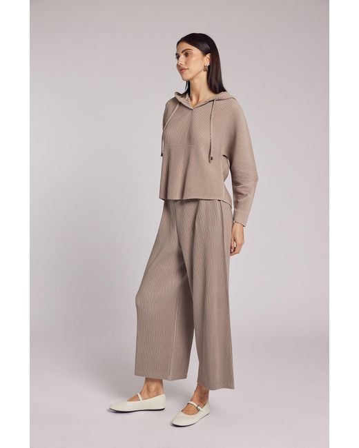 Wild Cosmos Brown Neutrals Vivian Hooded Double Knit Plissé Pull Over