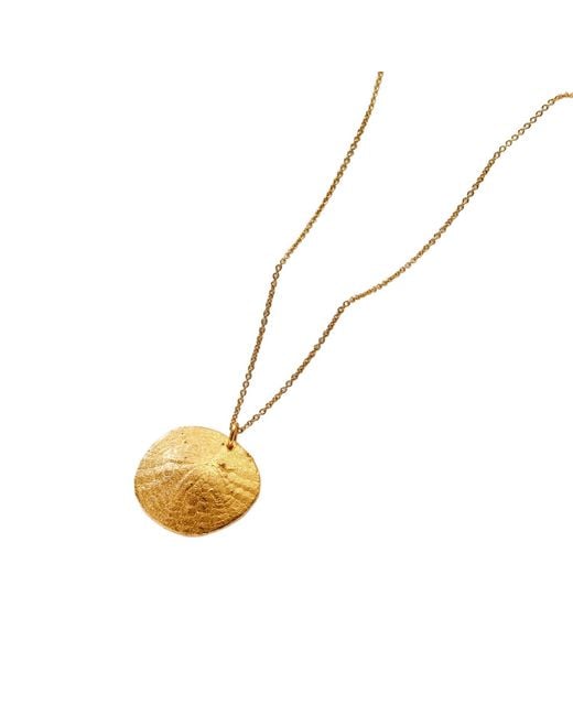 Posh Totty Designs Metallic Yellow Gold Plated Cowrie Shell Necklace