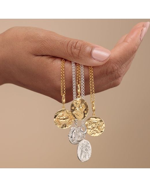 Lily Charmed Metallic Plated Capricorn Zodiac Charm Necklace