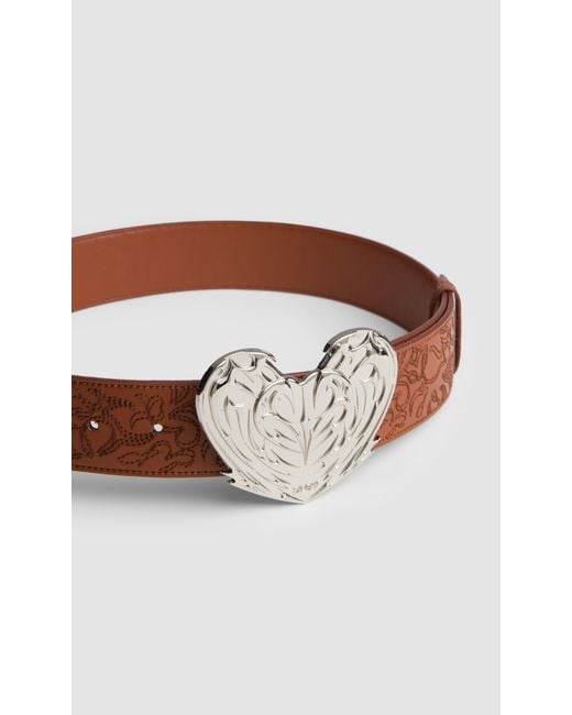 PREVU Brown Regan Belt