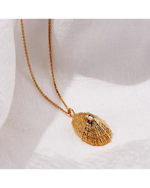 Posh Totty Designs Metallic Plated Limpet Shell Necklace
