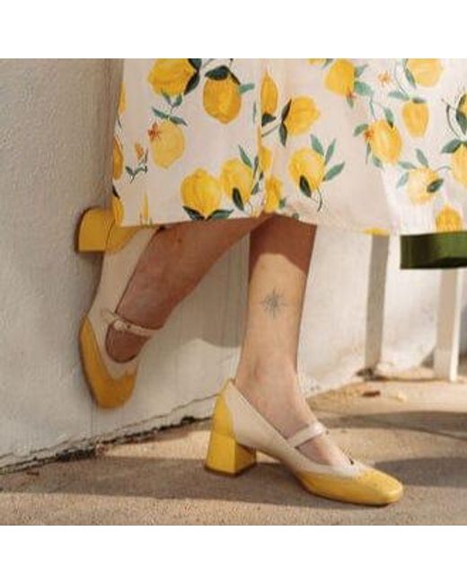 Embassy London USA Yellow Neutrals Mary Antoinette