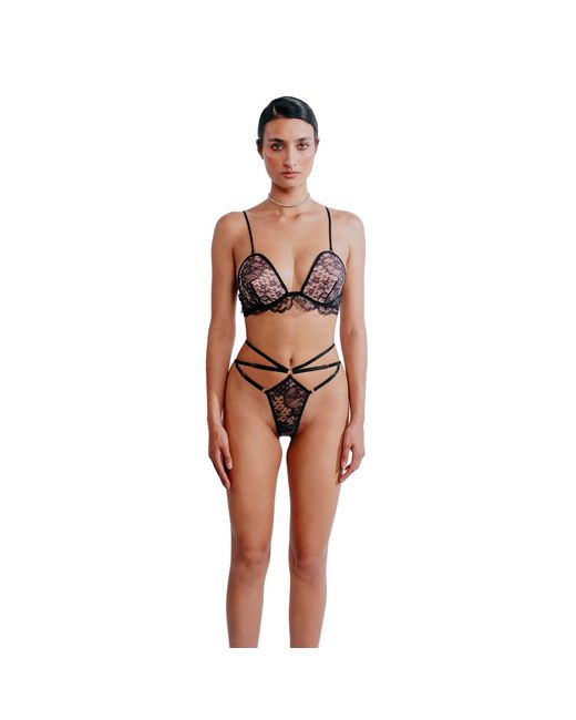 Perilla Lingerie Brown Madone Bra