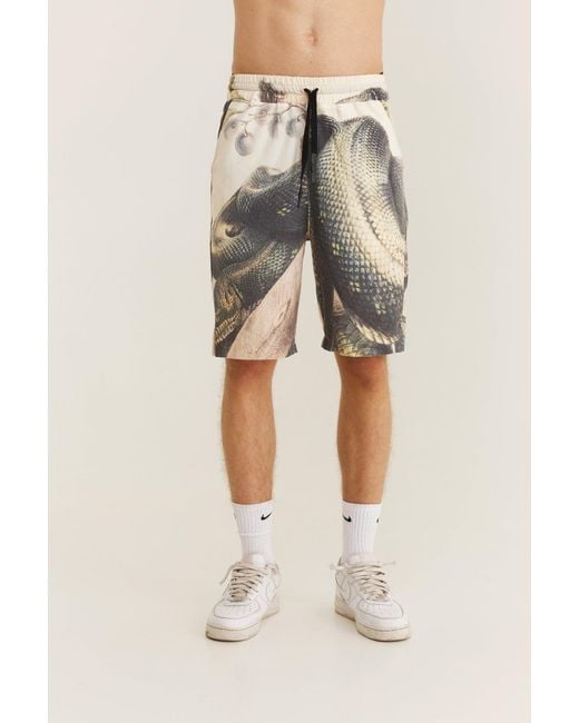 mysimplicated Multicolor Snake Bermuda Shorts for men