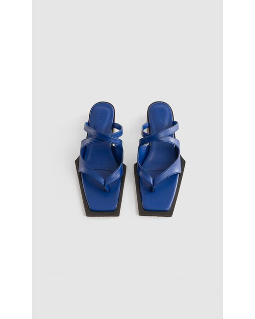 PREVU Blue Karel Mule