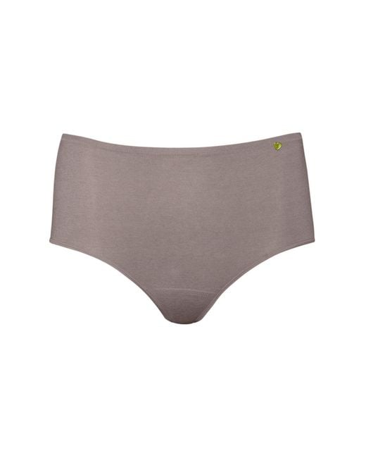 Zd - Zero Defects Gray Atenea High-Waist Brief – Stylisht Fit & Comfort With Soy Fiber