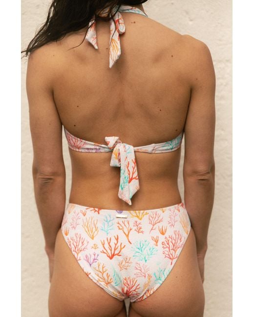 Aqva Swimwear White Talamanca Bikini Top