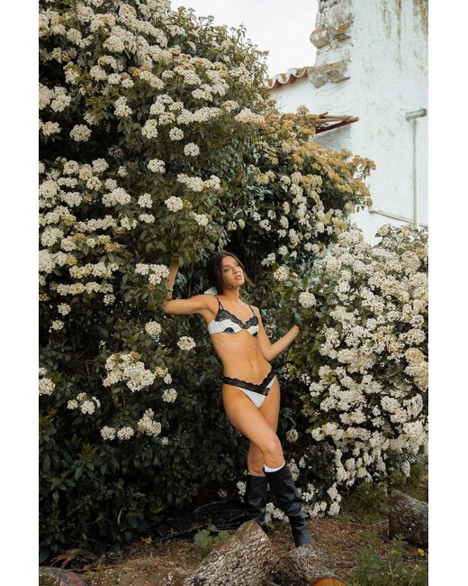 Wild Lovers Black Esme Brief