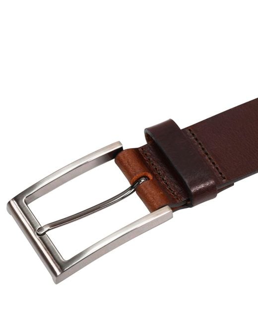 Storm Brown Thor Belt for men