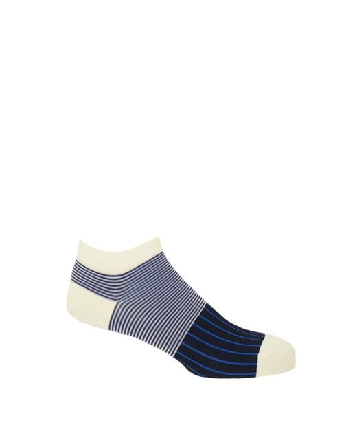 Peper Harow - Made in England Blue Scarlet Oxford Stripe Trainer Socks for men