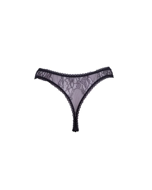 Noblesse Oblige Purple Solstice Thong