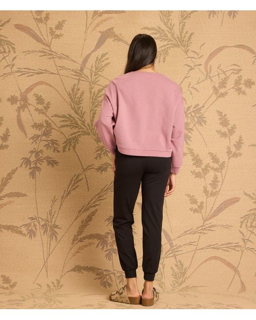Known Supply Pink Boxy Cotton Crewneck