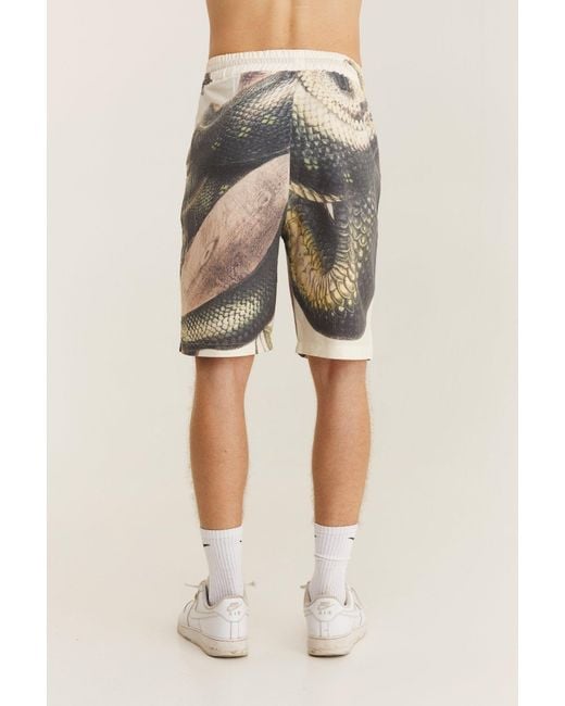 mysimplicated Multicolor Snake Bermuda Shorts for men