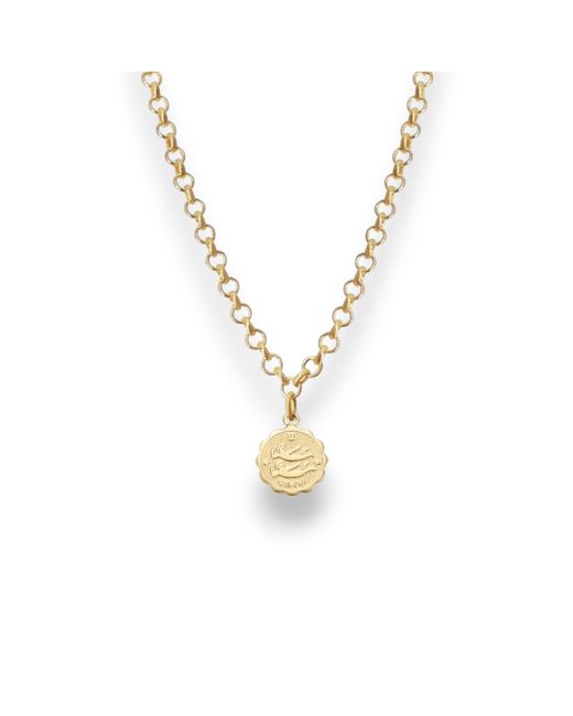 Alexie of Athens Metallic Gemini Zodiac Mini Medallion Chain Necklace