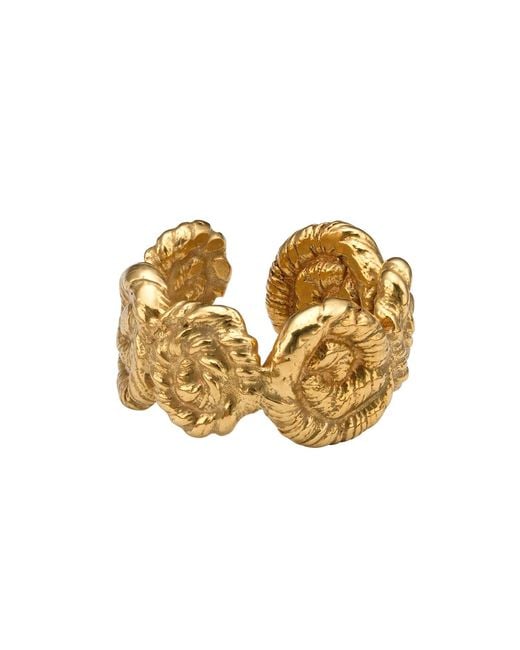 EVA REMENYI Metallic Nautilus Chunky Ring