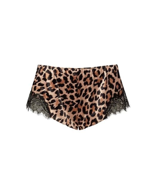 SAINTED SISTERS Brown Scarlett French Knicker Animal
