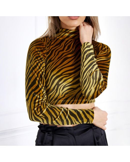 Ariana Bestepe Green Zebra Crop Top
