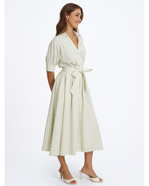 Miss Circle New York Gray Danica Pine Bamboo Poplin Striped Shirt Midi Dress