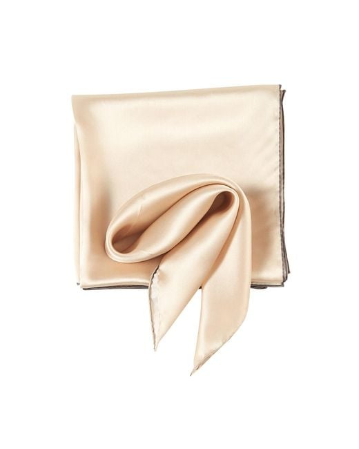 Soft Strokes Silk Brown Neutrals Pure Silk Scarf Sand Beach Solid Colour Collection Set Of Three Small