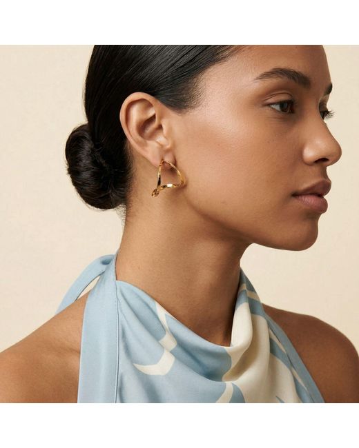 Jaredjamin Metallic Tabby Earrings