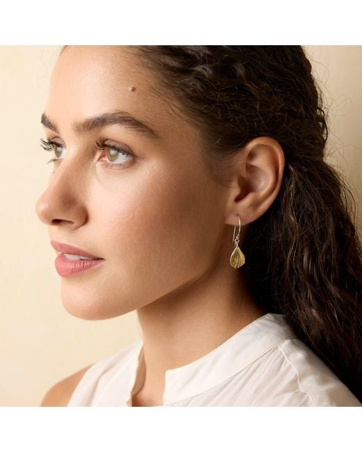 Isla Silver Metallic Shell Drop Earrings