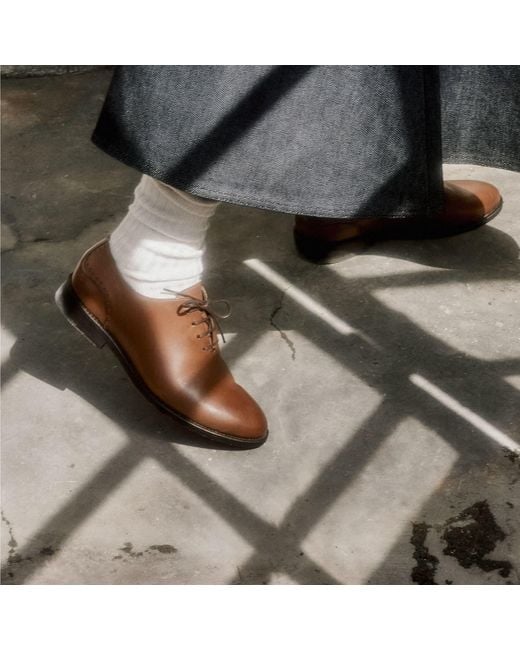 Mariano Shoes Brown Cobre Lace-Up Cognac